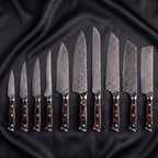 Iwao 10-Piece Knife Set