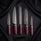 Shuiro 5-Piece Knife Set