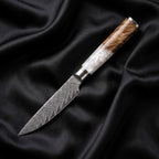 Shinju Petty Knife
