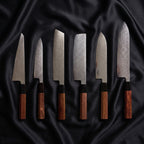 Samidare Damascus Knife Set
