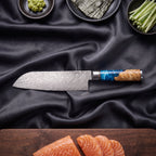 Shion Santoku Knife